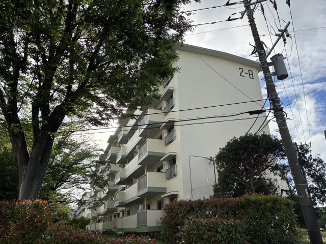 外観：314002670632