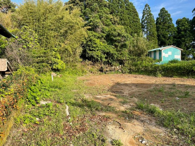 外観：346000041651