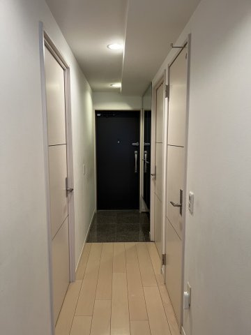 落ち着いた玄関です