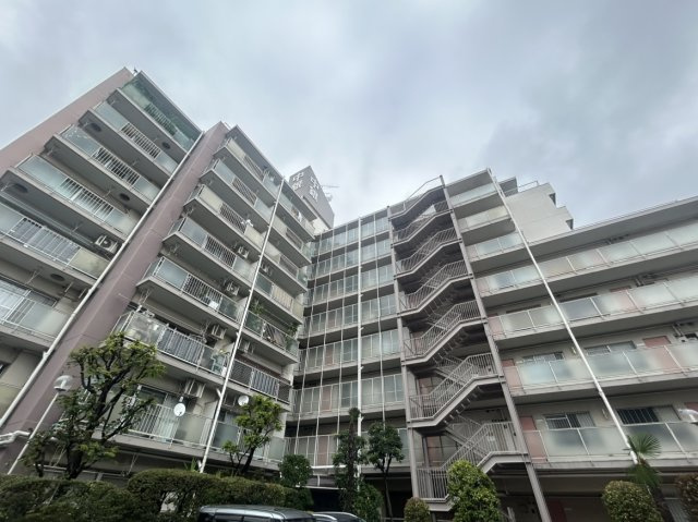 外観：313004857266