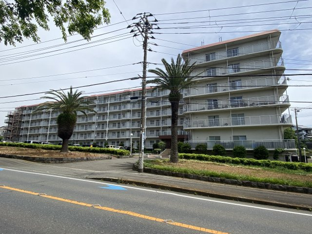 外観：314002731396