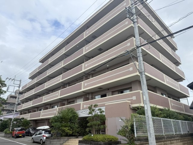 外観：309000089408