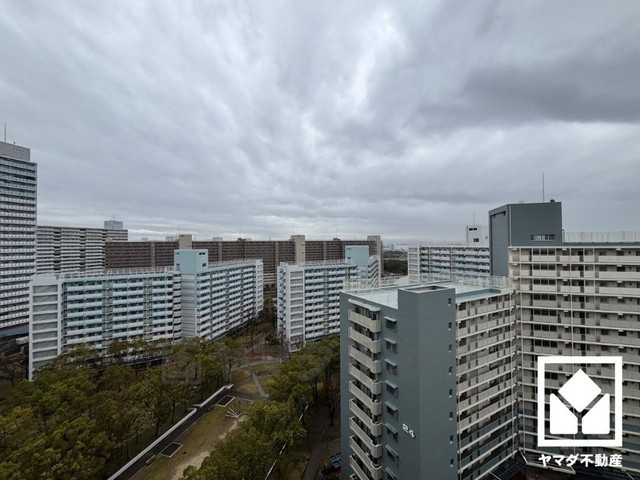 展望