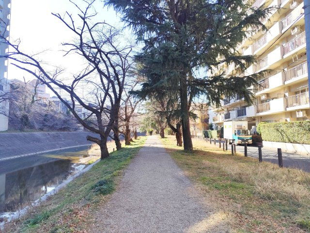 目の前には整備された河川敷がありお散歩に是非♪