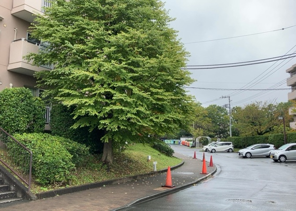 【パークサイド南大沢の庭】