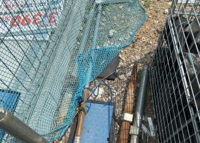 敷地内には、散水栓や立水栓があります。水道水を直接利用できるため、水を運ぶ手間を省くことが出来ます。大量の水を必要とする洗車作業や清掃などに役立ちます。その他設備とあわせて、現地でご確認ください。