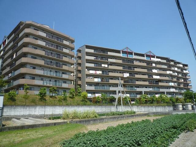 外観：327002760797