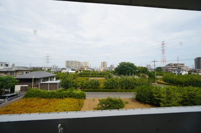 展望