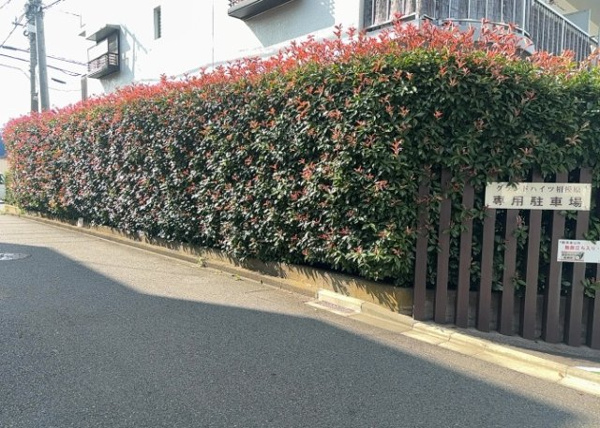 グランドハイツ相模原の庭