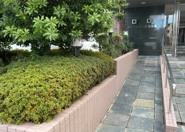 中庭（パティオ）とは、一つの建築物の内部に設けられた、壁などで囲われている庭のことを指します。コの字型、ロの字型が主流ですが、L字型の中庭もあります。最近では、インテリア性の高さからも人気があります。