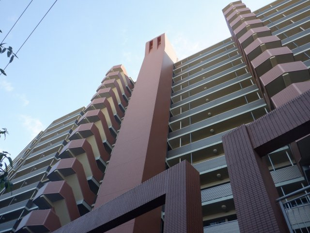 外観：313004677597