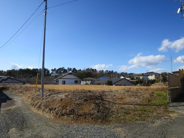 外観：307000073528