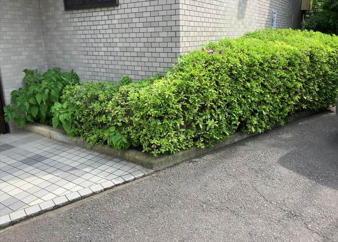 物件によっては、入居者が個人的に使用できる専用庭がついているものもあります。また、住宅の中にある土間の部分を庭と呼ぶこともあります。庭の用途は住む人によって変わり、それによってデザインもさまざまです。
