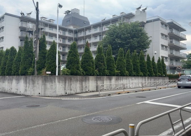 外観：313004732642