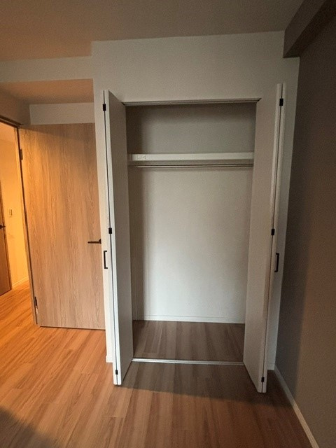 洋室内のクローゼットです。
