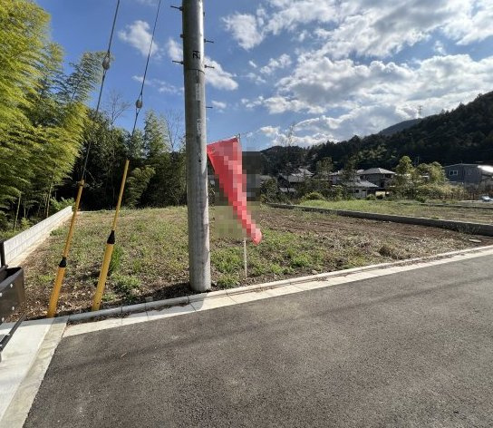 現地写真