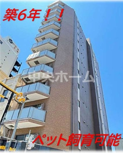 外観：313004634701