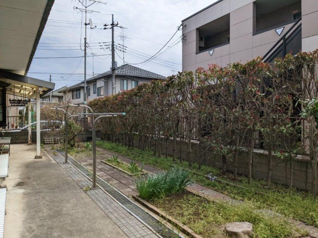 現地写真