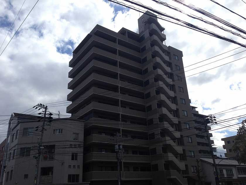 外観：334000271059