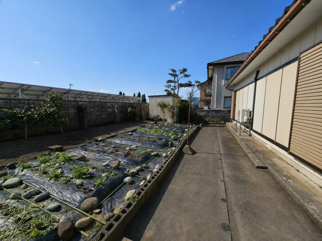 庭