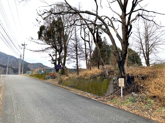 外観：310000089088