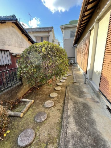 庭
