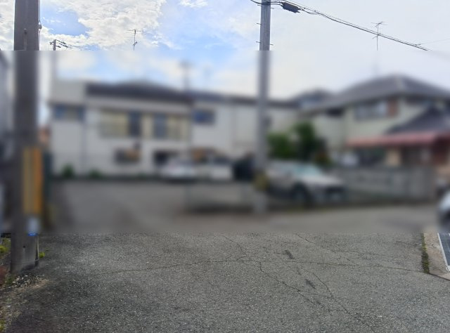 1号地と2号地全体写真