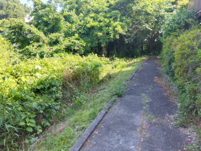 現在地目は山林ですが宅地としてお使いいただけます。