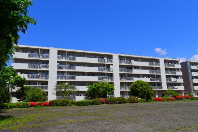 外観：313004690407