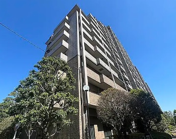 外観：313004896975