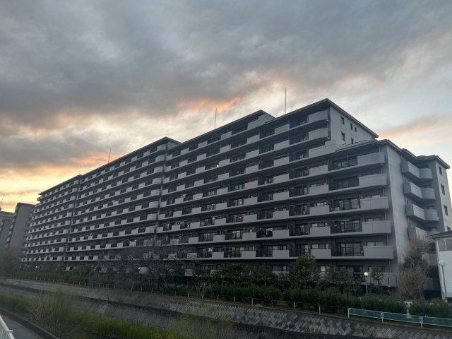 外観：311002385532