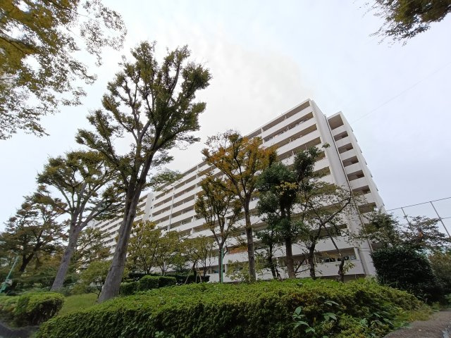 【亀戸二丁目団地9号棟】