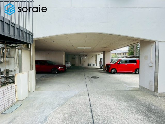 3/23撮影