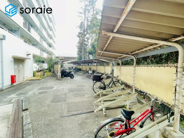 3/23撮影