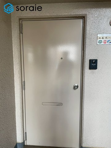 3/23撮影