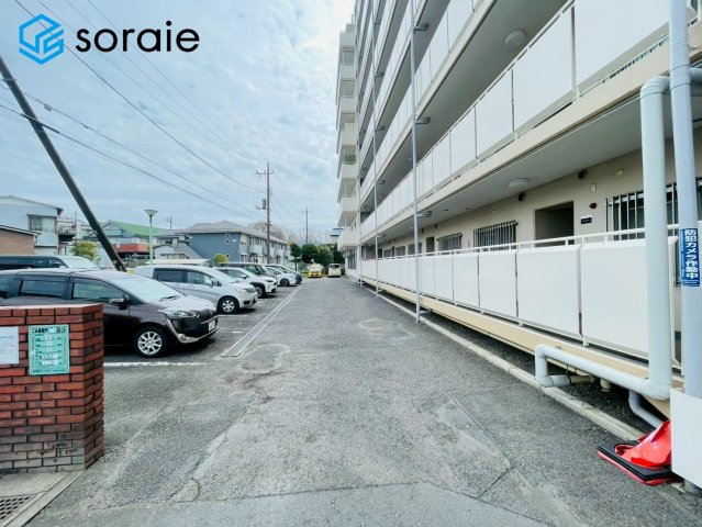 3/23撮影