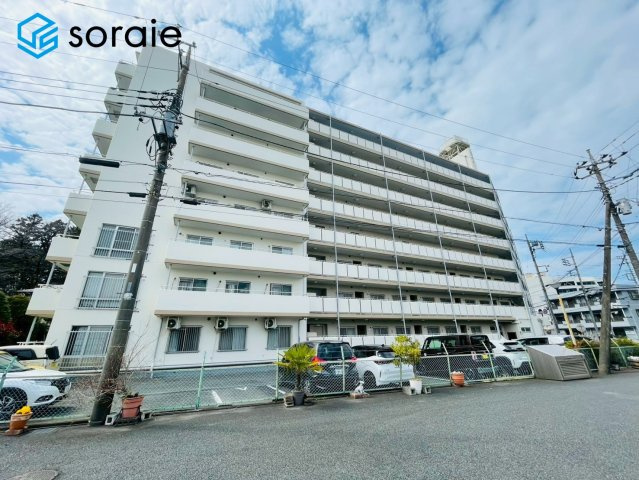 3/23撮影