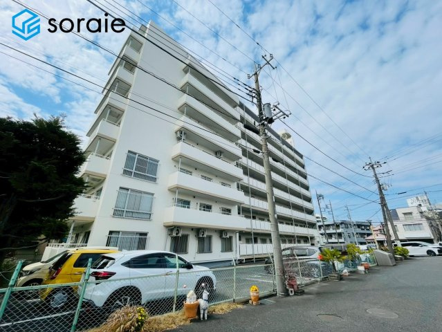 3/23撮影