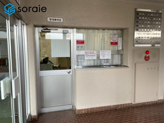 3/23撮影