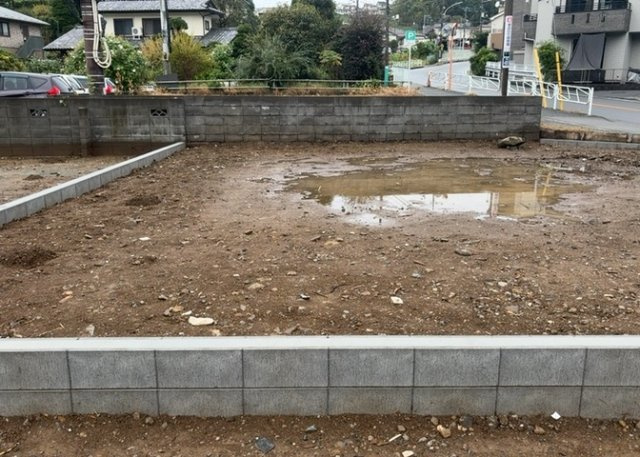 外観：313004423806