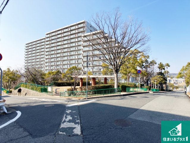 周辺は閑静な住宅街！前面道路広々で車の出し入れも便利です。駐車が苦手な方でも安心して車庫入れできます！