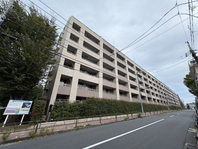 外観：313004494163