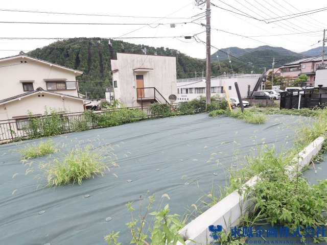 撮影日：令和8年8月