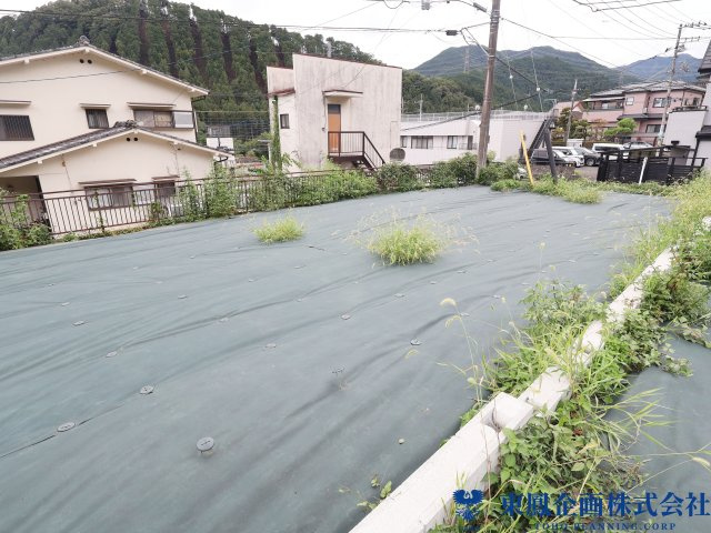 撮影日：令和8年8月