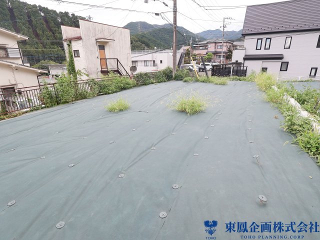 撮影日：令和8年8月