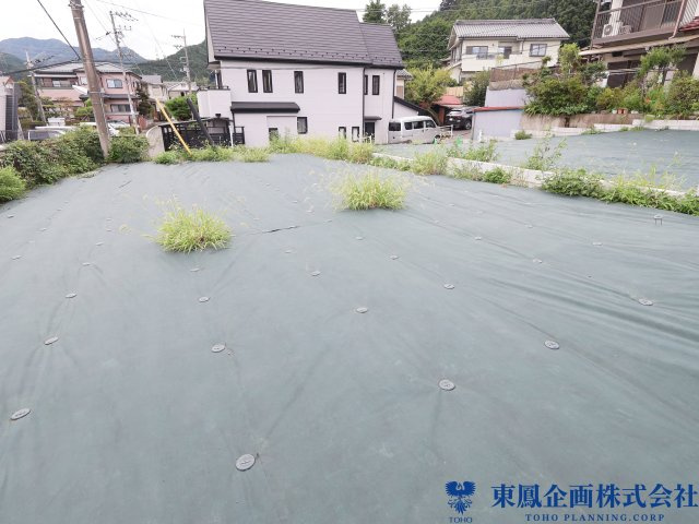 撮影日：令和8年8月