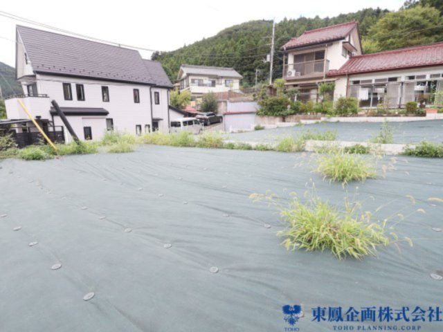 撮影日：令和8年8月
