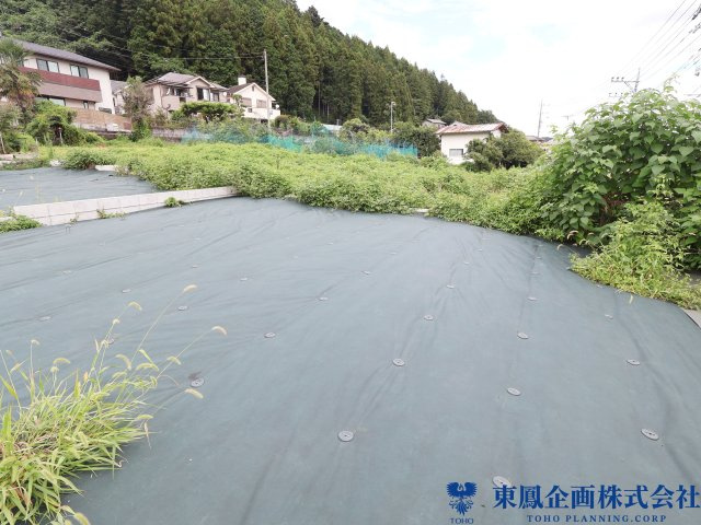 撮影日：令和8年8月