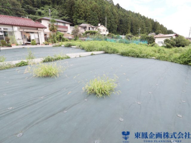 撮影日：令和8年8月