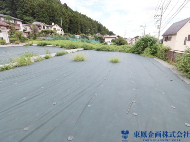 撮影日：令和8年8月